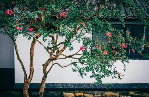 Emeishan Hotel | Anlan Creek Spring B&B