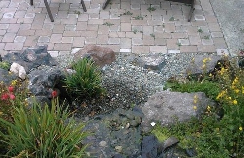 Coos Bay House | Annie's Cottage, Quiet Getaway, Peaceful Waterfall