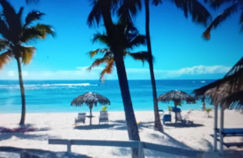 Anse des Rochers Apartment | Anse des Rochers Studio Proche Plage et Piscine