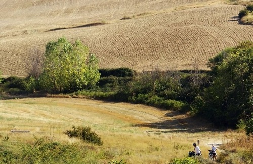 San Piero a Grado Apartment | Antara Apartment - One Bedroom Apartment, Sleeps 4