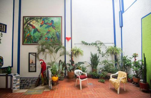 Bucaramanga House | Antigua Hostal