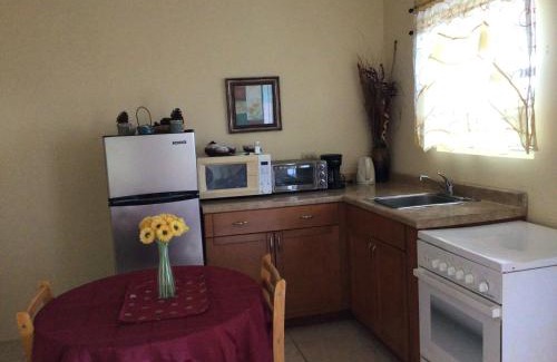 Runaway Bay Apartment | Antigua Seaview