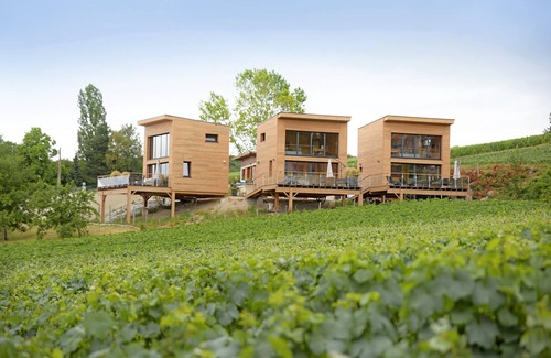 Chigny-les-Roses House | ANTOINETTE COTTAGES. COTTAGE FIZZY POP