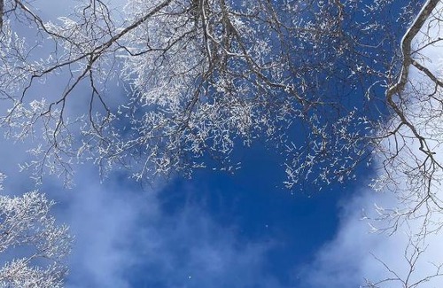 Nakajimakoen Apartment | AONO STAY SAPPORO