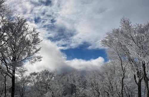 Nakajimakoen Apartment | AONO STAY SAPPORO