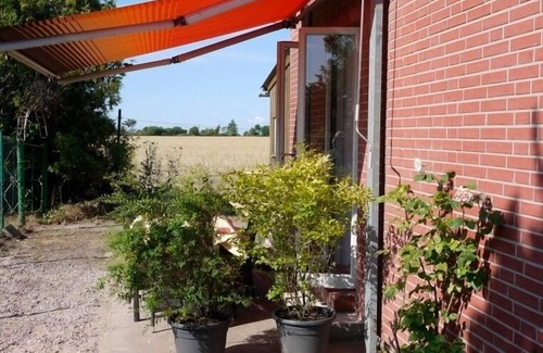 Fehmarn Apartment | Apartment/app. for 3 guests with 40m² in Fehmarn OT Neujellingsdorf (14972)
