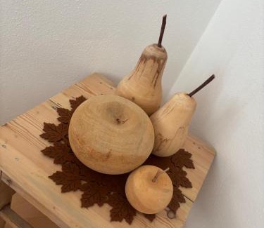 Arzl im Piztal Apartment | Apart Pitzenklamm