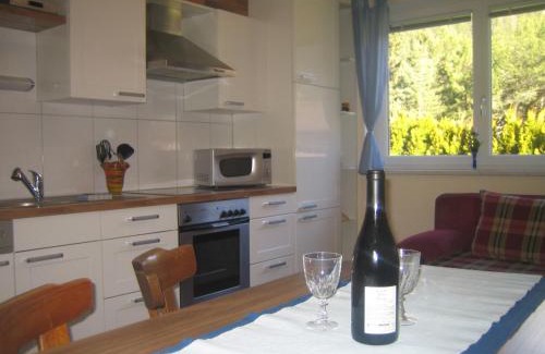 Niederthai Apartment | Apart Raphael