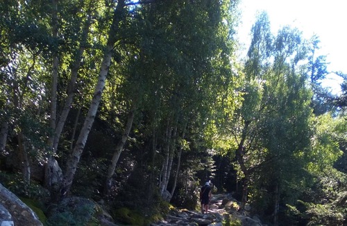 Adrall Apartment | Apart. RURAL Two rooms ctra. Andorra