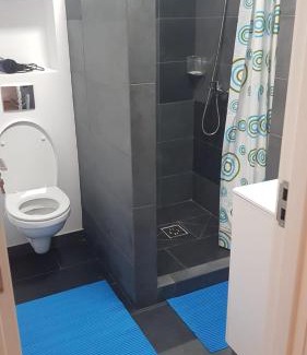 Tirgu Mures Apartment | Apartament 1 Budiu