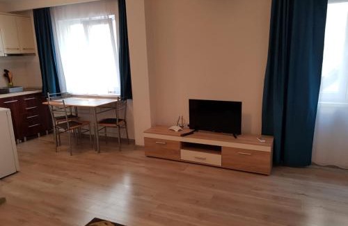 Tirgu Mures Apartment | Apartament 2 Central
