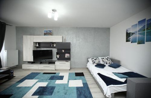 Tirgu Mures Apartment | Apartament BriFla Comfort Mureș