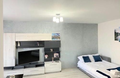 Tirgu Mures Apartment | Apartament BriFla Comfort Mureș