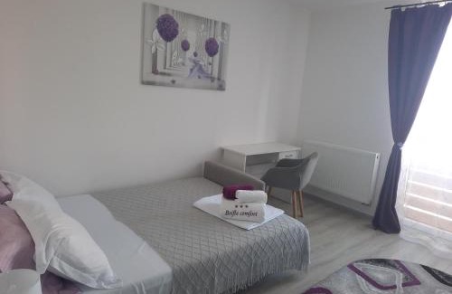 Tirgu Mures Apartment | Apartament BriFla Comfort Mureș