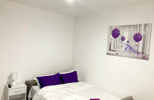 Tirgu Mures Apartment | Apartament BriFla Comfort Mureș