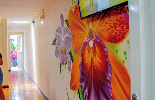 La Estrella Apartment | Apartamento Fénix