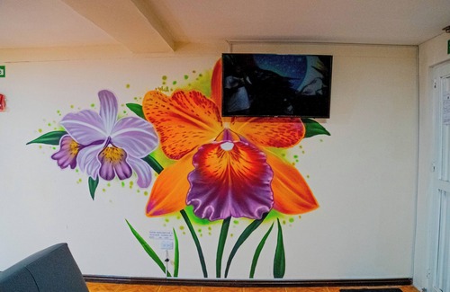 La Estrella Apartment | Apartamento Fénix