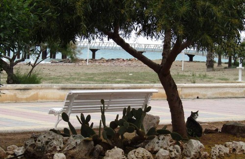 Chilches Apartment | Apartamento Cerezo Beach