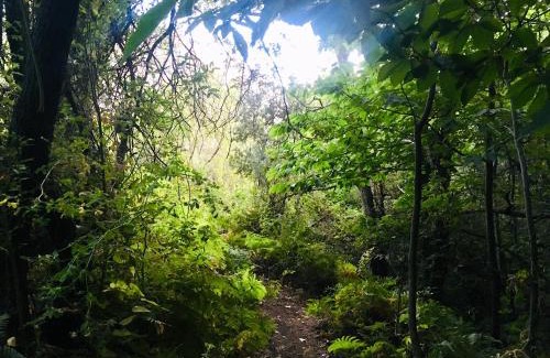 Mecina Fondales Apartment | Apartamento El Refugio de Mecina