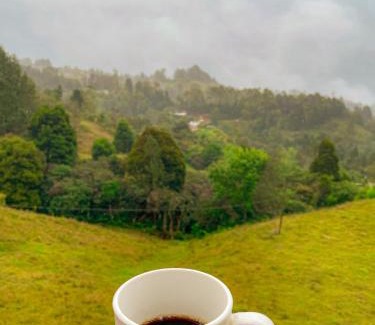 Guarne Apartment | Apartamento en Guarne-Antioquia