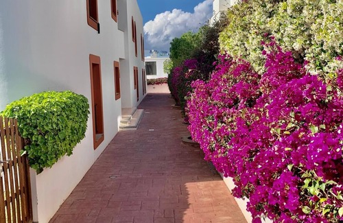 Ibiza Island Apartment | Apartamento en Ibiza Illaplana, Entre Marina Botafoch y la Playa de Talamanca