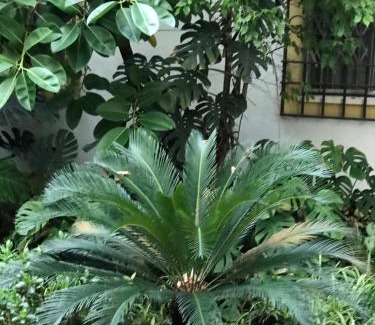 San Miguel-Capuchinos Apartment | Apartamento las doblas , parking gratis