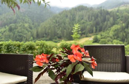 San Colombano Apartment | Apartamento Pino Verde in San Colombano VT Vista, Natura, Wifi