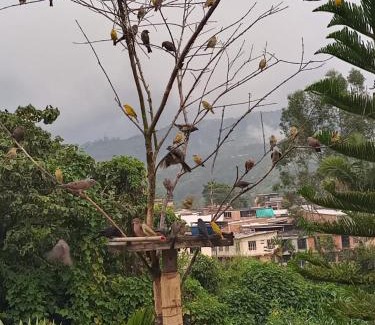 La Estrella Apartment | Apartamento portal del prado