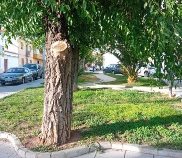 Baena Apartment | Apartamento San Miguel