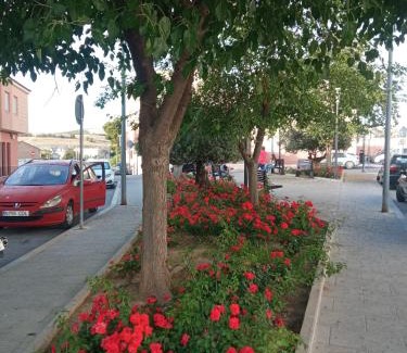 Baena Apartment | Apartamento San Miguel