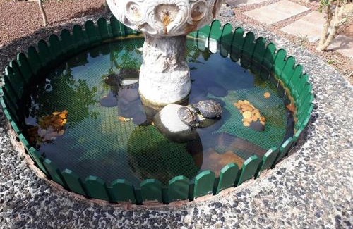 San Cristobal de La Laguna Apartment | Apartamento tranquilo en una casa con jardín