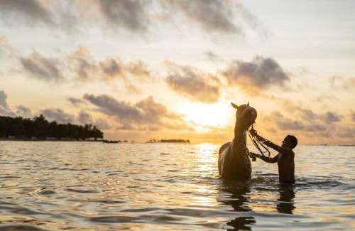 San Luis Apartment | Apartamentos Rocky Cay Bay