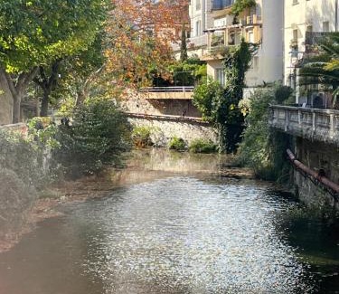 Amelie-les-Bains-Palalda Hotel | Aparthotel New Palmarium