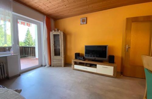 Haidmuhle Apartment | Apartmán Frauenberg - Haidmühle