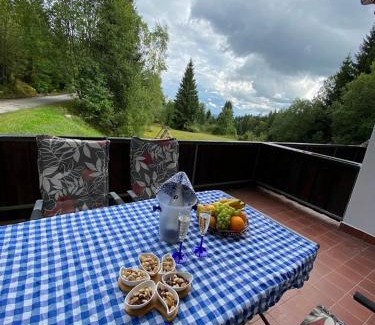 Haidmuhle Apartment | Apartmán Frauenberg - Haidmühle