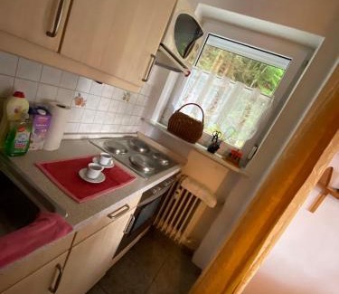 Haidmuhle Apartment | Apartmán Frauenberg - Haidmühle