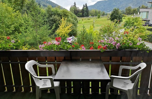 Menzenschwand-Hinterdorf Apartment | Apartment C4 for 4 persons