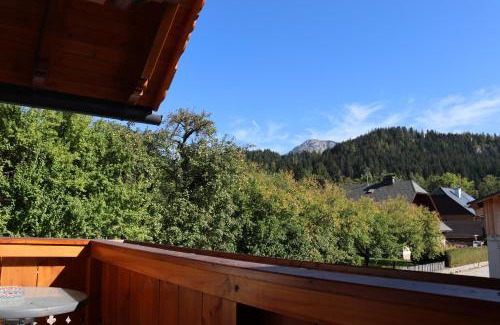 Bad Mitterndorf Apartment | Apartman Tauplitz skiing, hiking, bike, cross country - Haus Sandlweber