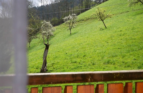 Bad Peterstal-Griesbach Apartment | Apartment 'Nr 2' with Shared Garden, Balcony and Wi-Fi