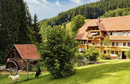 Bad Peterstal-Griesbach Apartment | Apartment '3 Zimmer' with Mountain View, Shared Terrace and Wi-Fi