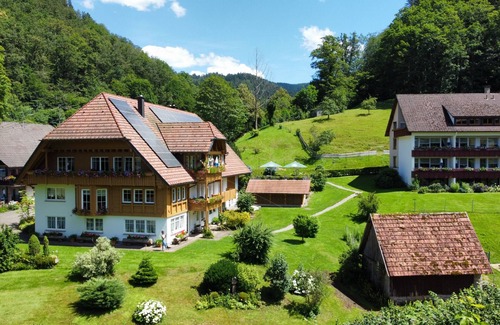 Bad Peterstal-Griesbach Apartment | Apartment 'Leibgedinghaus 1 Og' with Mountain View, Shared Terrace and Wi-Fi