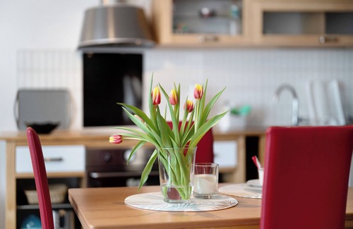Schonach im Schwarzwald Apartment | Apartment 'Alexander' with Shared Terrace, Balcony and Wi-Fi