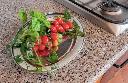 Castelfranco Piandisco Other | Apartment in the agriturismo 'La Facciavista' with shared pool, shared terrace and Wi-Fi