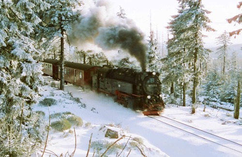 Sangerhausen Apartment | Apartment 1 - Pension Rosengarten