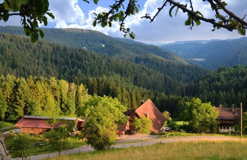 Schiltach Apartment | Apartment 2 "Starry Sky", top floor, 80sqm, 2 bedrooms, max. 6 people