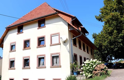 Freiamt Apartment | Apartment 3, 53sqm, 1 bedroom, 1 living/bedroom, shower and WC