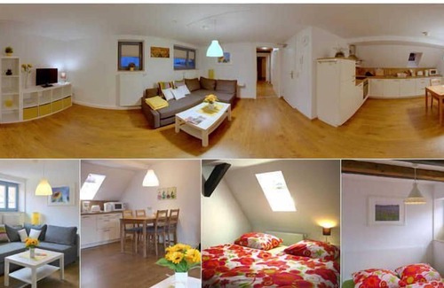 Erfurt Old Town Apartment | Apartment 3 Dandelions/1. OG rechts - apartments in the house to golden Schaar