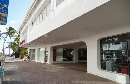 Punta Hansa Apartment | Apartment 35 meters from the beach of Spratt bight