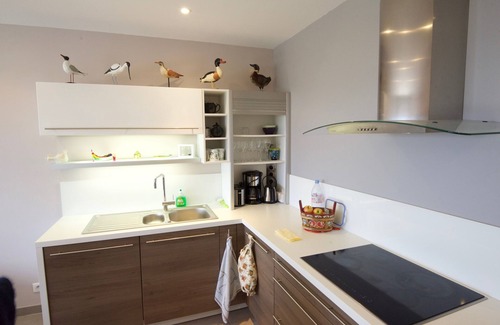 Hardelot-Plage Apartment | APARTMENT 46 M2 BEACH FLOOR (feet in the water)