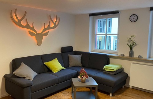 Waldshut-Tiengen Apartment | Apartment, 50sqm, 1 bedroom, max. 2 people